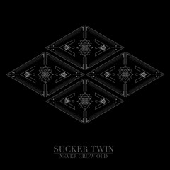 Never Grow Old [OUT NOW]