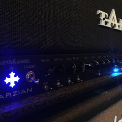 TAPP Amps Marzian V 2.0