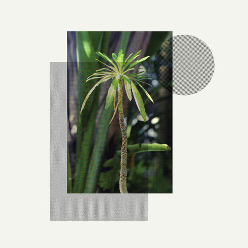 Stefan Jós - Grotto Erotica