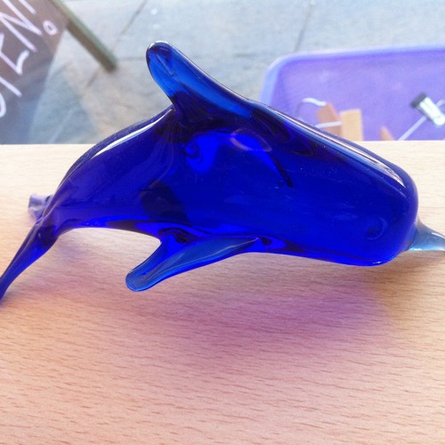 SPRING BREAK: Dolphin Puncher