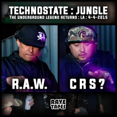 RAW - Curious B2B Live at Technostate Jungle April 2015