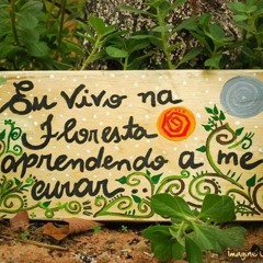 18 - Verdade Pura (Raimundo Gomes)