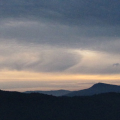 Case235 - Cedar Trip