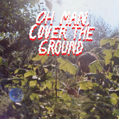 Itching Around by Shana Cleveland & The Sandcastles