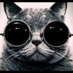 TECH HOUSE!!