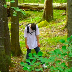 BLADEE- EBAY Ft. (Thaiboy Digital & ECCO2K)