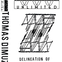 Thomas Dimuzio- Delineation of Perspective excerpt