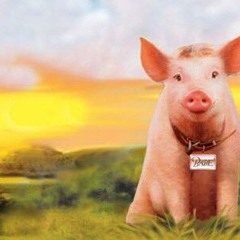 Simplificando (Prod. Unknown)