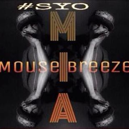 12 - Mouse Breezy - Top Of The World Feat Pup - D Flocca & ThaDon