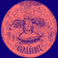 Quailbones - Teeny Tiny Mind [KS-21 S/T LP]