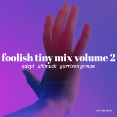 foolish tiny mix volume 2