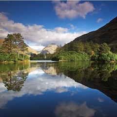 Rose Streets Overland