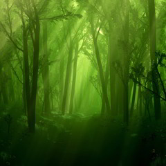Magical Forest by TIMUJIN