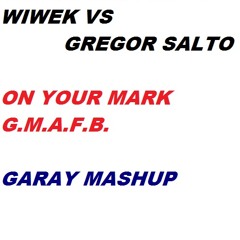 Wiwek & Gregor Salto- On Your Mark G.M.A.F.B (Garay. MashUp)**FREE DOWNLOAD**