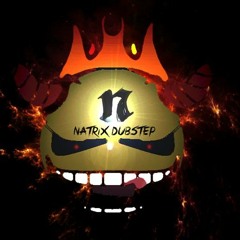 One Of A Kind Natrix Dubstep 2015