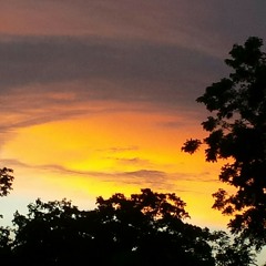 Electric Skies - Satori Kings  at (live on 4/11/15)