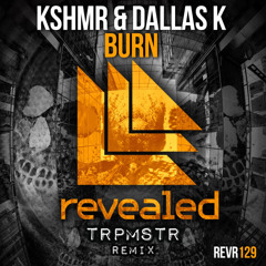 Burn (TRPMSTR Remix) - KSHMR & Dallas K