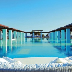 Dive in