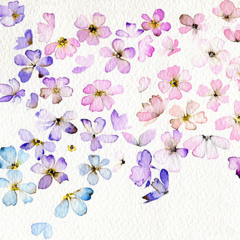 حزبُ الموسيقى