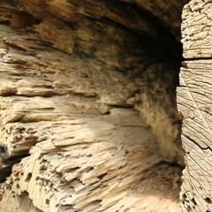 Live jamming at @studiolive explore