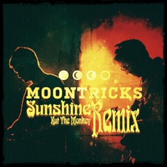 Moontricks - Sunshine ( Zut The Monkey Remix) - Free DL