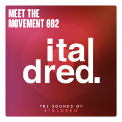 Meet The Movement #002: The Sounds of Italdred [Mix]