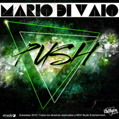Mario di Vaio - Push