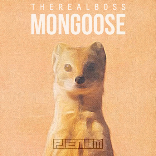 THEREALBOSS – Mongoose