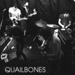 Quailbones - "A Tip to Trick the Tide"