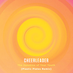 Sunshine Of Your Youth (Plastic Plates Remix)