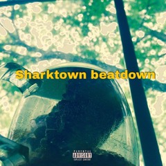 Shark town beatdown