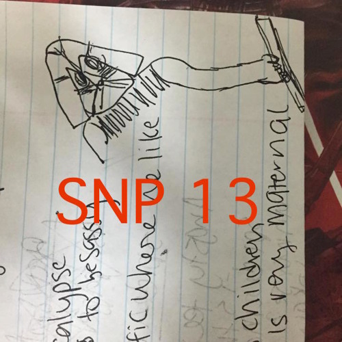SNP 13 - Super Guest Fun