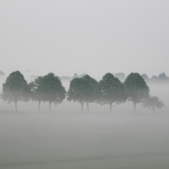 No. 1 - The Larch (improv)