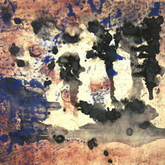 EDO LEE