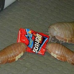 Hardcore From The Ocean Floor