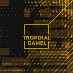 Tropikal Camel - Black Panther