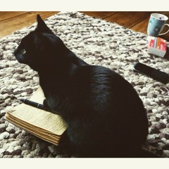 I Don't Know What to Call This - original song