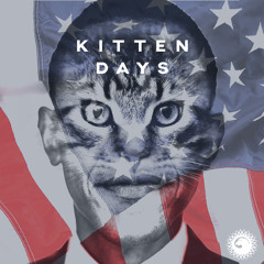 Kitten Days