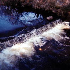 Soft Fangs- Dead Friends