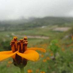 No Fuiste Tu Bres Ft Zokram