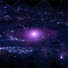 Cosmos