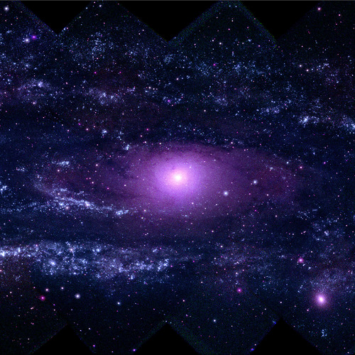 Cosmos