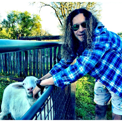 Point in the Wasteland