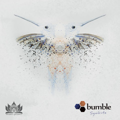 bumble - Symbiota  (ALBUM PREVEIW)