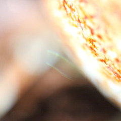 From Dust