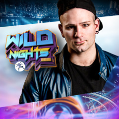Wild Nights 2015 - Dimatik Mini Mix