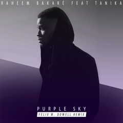 Raheem Bakaré feat. Tanika - Purple Sky (Felix M. Dowell Remix)