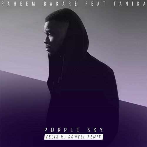 Raheem Bakaré feat. Tanika - Purple Sky (Felix M. Dowell Remix)