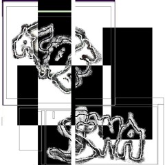 Een Gewaarschuwd Mens Telt Voor 2 AFOE SWA SYSTEM Ft MCL