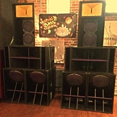 Reggae Dub Riddim Selecta